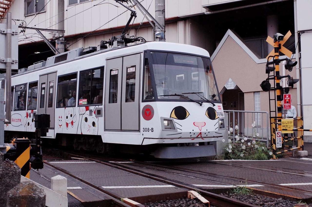 世田谷 大晶家 Direct To Shinjuku For 13Min 上北沢3分 近涉谷新宿 Tokyo Exterior photo